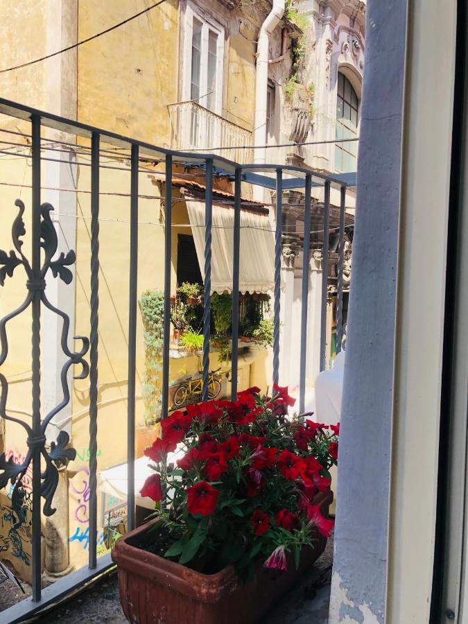Dimora Paladino Bed & Breakfast Naples Exterior photo